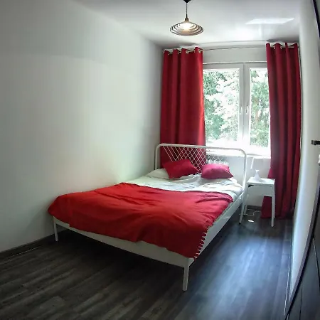 Antek * Krakow